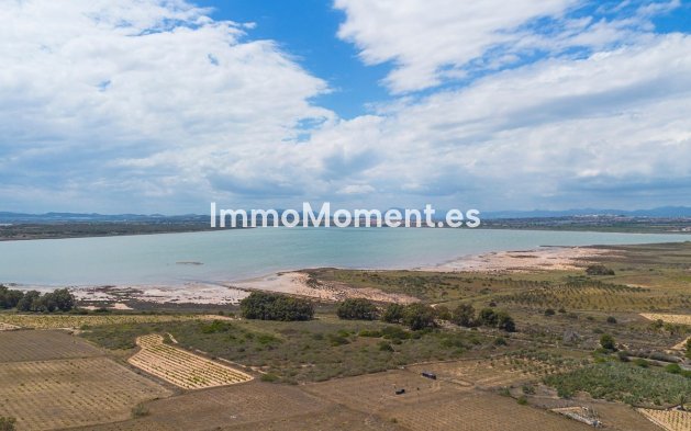 Wiederverkauf - Wohnung - Torrevieja - La Mata