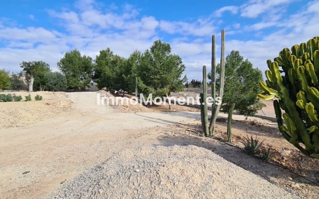 Revente - Villa - Orihuela - La Matanza