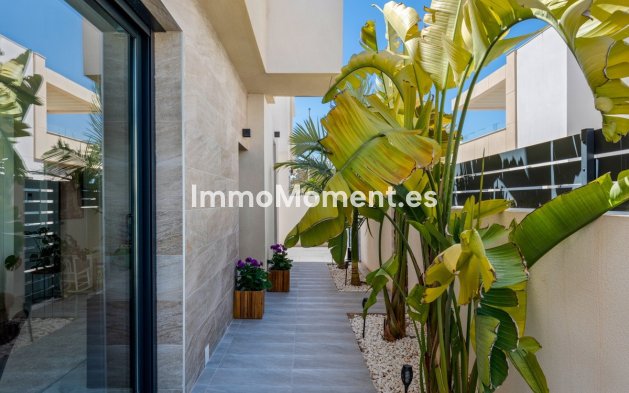 Revente - Villa - Los Montesinos - Los Montesinos Centro