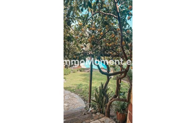 Revente - Villa - Marbella - Nueva Andalucía