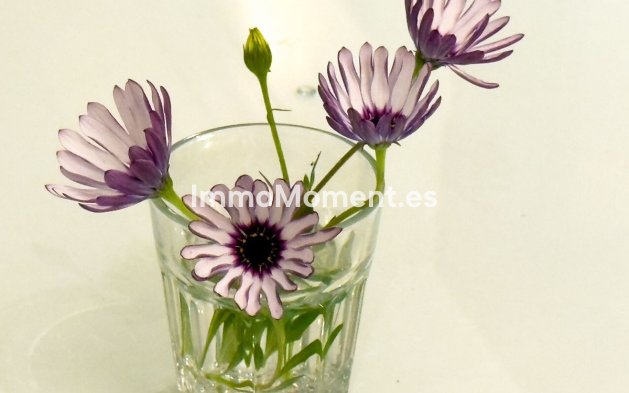 Revente - Villa - Marbella - El Rosario