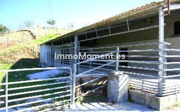 Reventa - Villa - Interior  - Coín