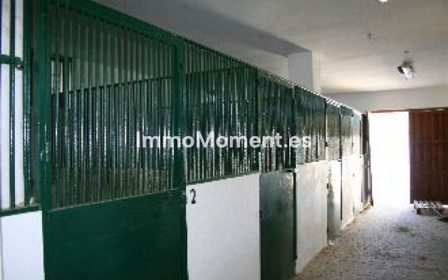 Reventa - Villa - Interior  - Coín