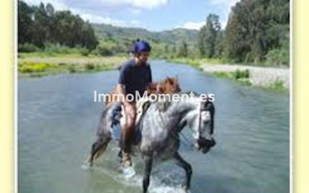 Reventa - Villa - Interior  - Coín