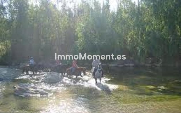Reventa - Villa - Interior  - Coín