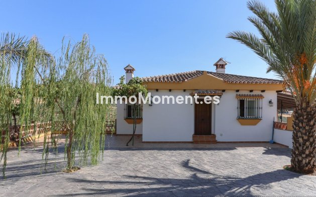 Reventa - Villa - Interior  - Guaro