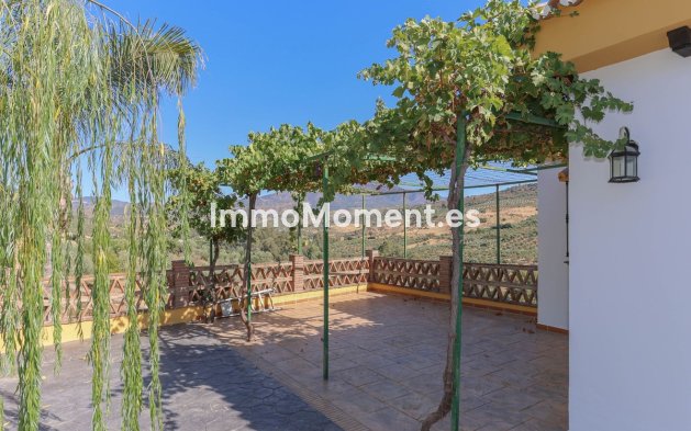 Reventa - Villa - Interior  - Guaro