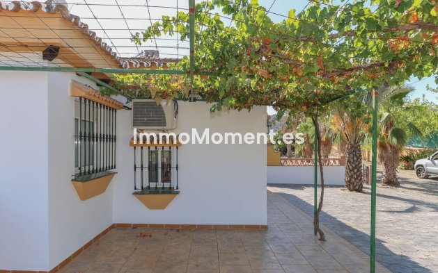 Reventa - Villa - Interior  - Guaro