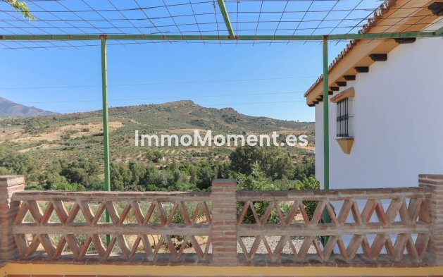 Reventa - Villa - Interior  - Guaro