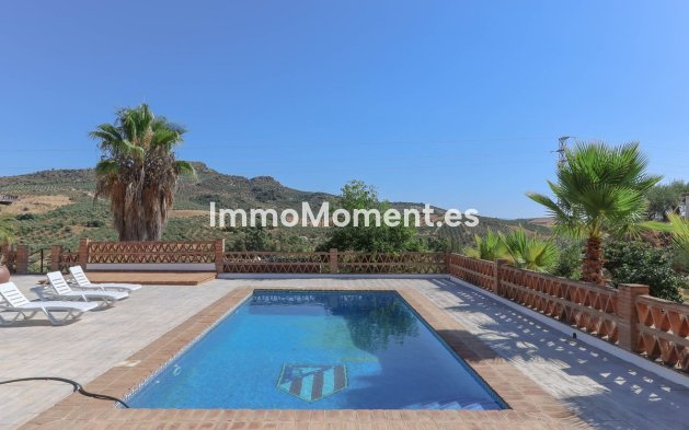 Reventa - Villa - Interior  - Guaro