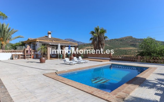 Reventa - Villa - Interior  - Guaro