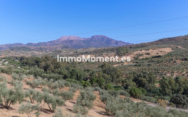 Reventa - Villa - Interior  - Guaro