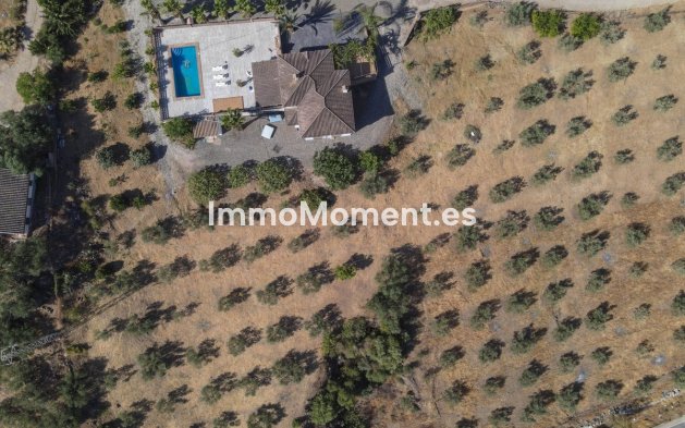 Reventa - Villa - Interior  - Guaro