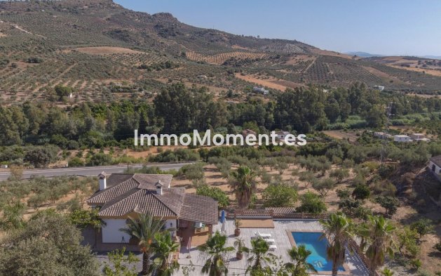 Reventa - Villa - Interior  - Guaro