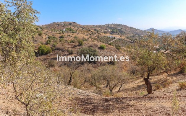 Wiederverkauf - Villa -   Inländisch - Guaro