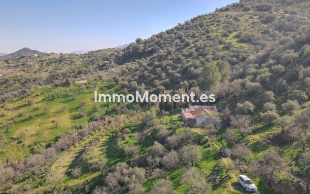 Wiederverkauf - Landhaus -   Inländisch - Guaro