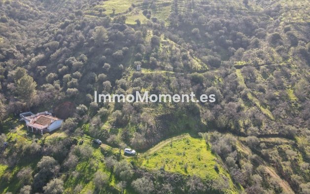 Wiederverkauf - Landhaus -   Inländisch - Guaro