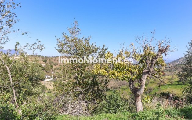 Wiederverkauf - Landhaus -   Inländisch - Guaro