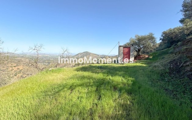 Wiederverkauf - Landhaus -   Inländisch - Guaro