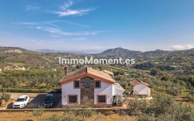 Reventa - Villa - Interior  - Guaro