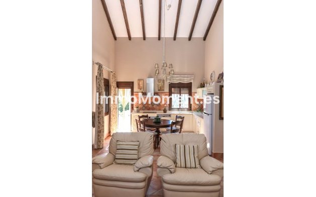 Reventa - Villa - Interior  - Guaro
