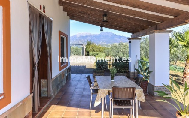 Reventa - Villa - Interior  - Guaro