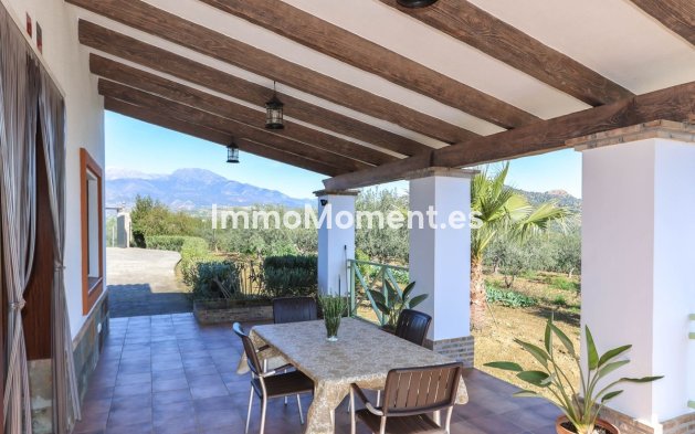 Reventa - Villa - Interior  - Guaro