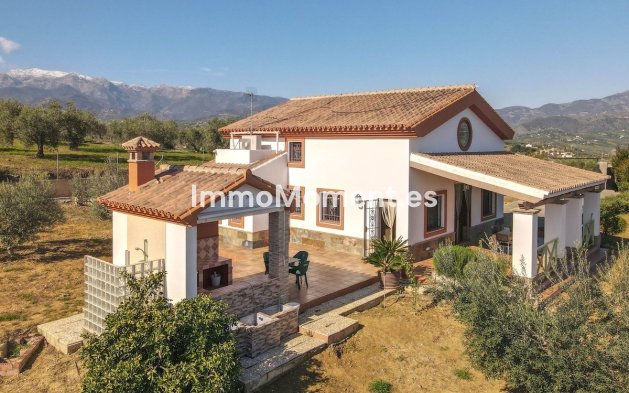 Reventa - Villa - Interior  - Guaro