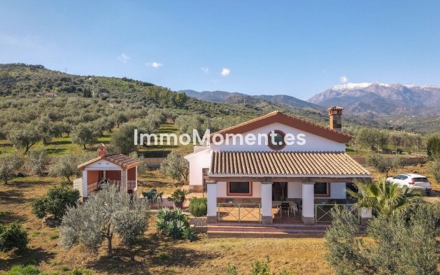 Reventa - Villa - Interior  - Guaro