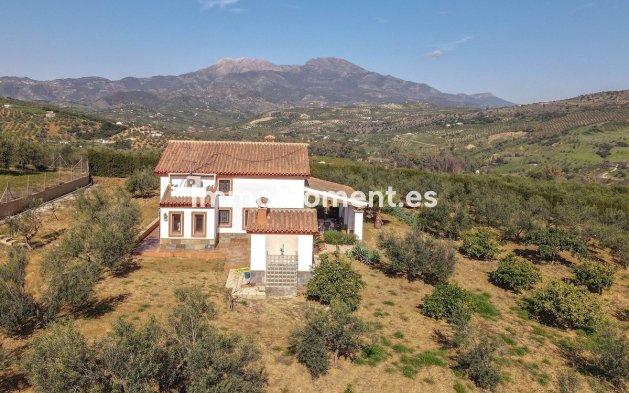 Reventa - Villa - Interior  - Guaro