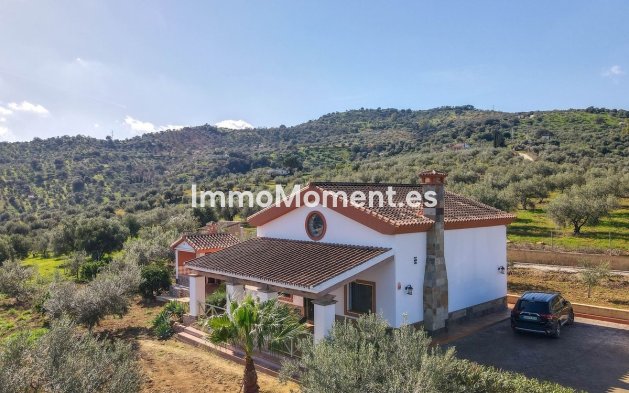 Reventa - Villa - Interior  - Guaro