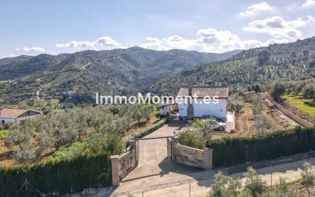 Reventa - Villa - Interior  - Guaro