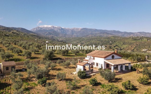 Reventa - Villa - Interior  - Guaro