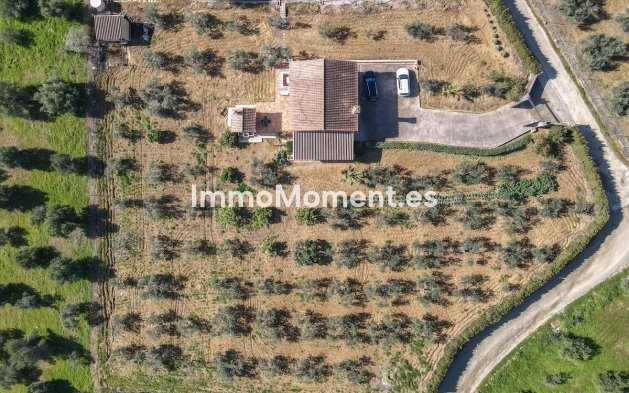 Reventa - Villa - Interior  - Guaro