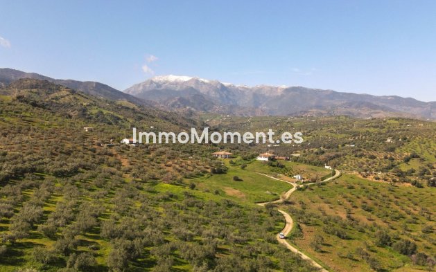 Reventa - Villa - Interior  - Guaro