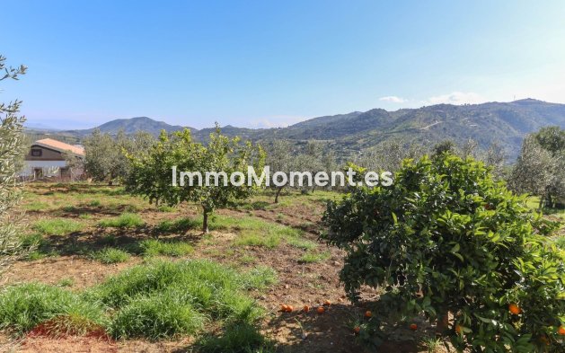 Reventa - Villa - Interior  - Guaro