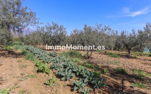 Reventa - Villa - Interior  - Guaro