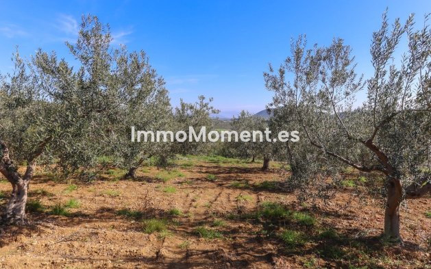 Reventa - Villa - Interior  - Guaro