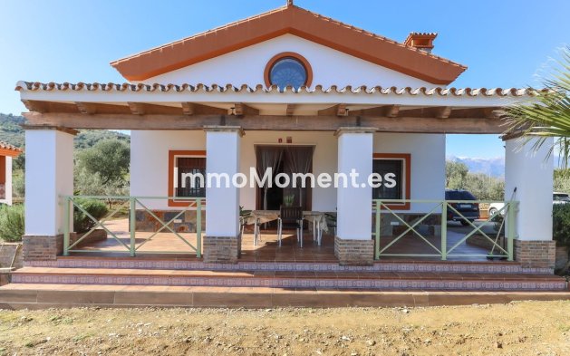 Reventa - Villa - Interior  - Guaro