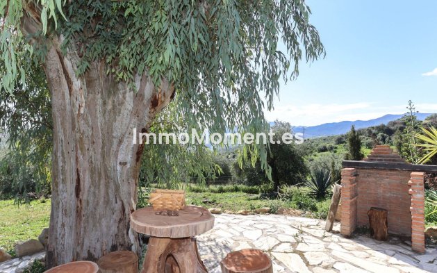 Revente - Villa individuelle - Intérieur                       - Alozaina