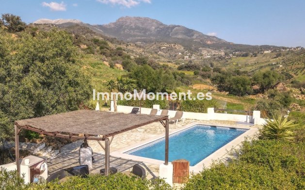 Revente - Villa individuelle - Intérieur                       - Alozaina