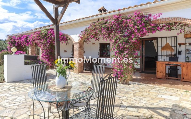 Revente - Villa individuelle - Intérieur                       - Alozaina