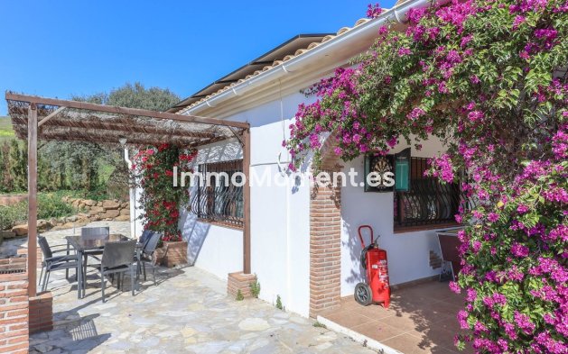 Revente - Villa individuelle - Intérieur                       - Alozaina