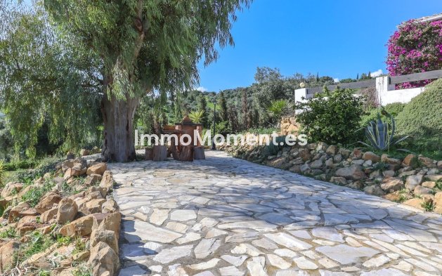 Revente - Villa individuelle - Intérieur                       - Alozaina