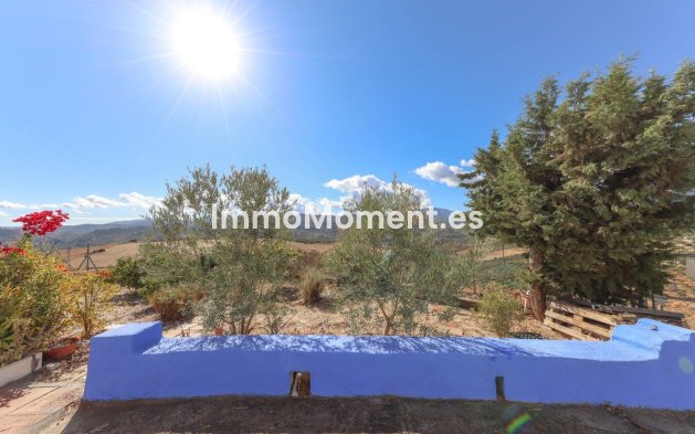 Reventa - Villa - Interior  - Guaro