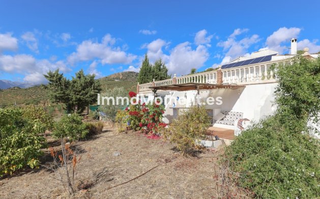 Reventa - Villa - Interior  - Guaro