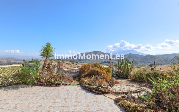 Reventa - Villa - Interior  - Guaro