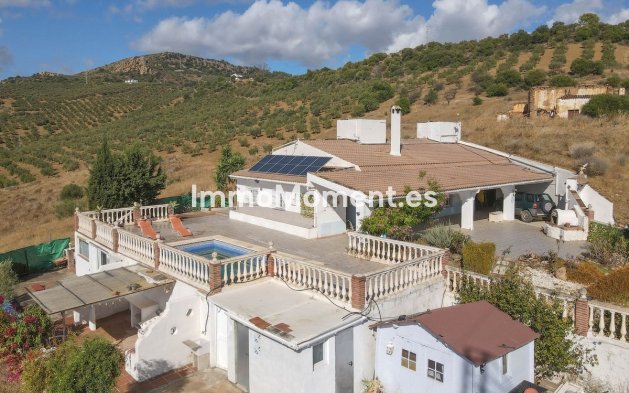 Reventa - Villa - Interior  - Guaro