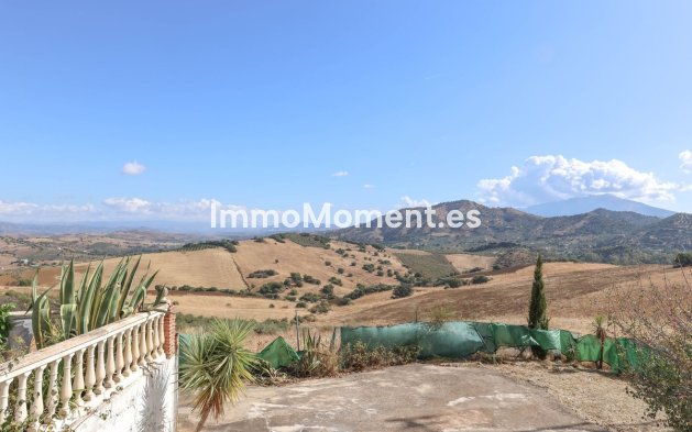 Reventa - Villa - Interior  - Guaro