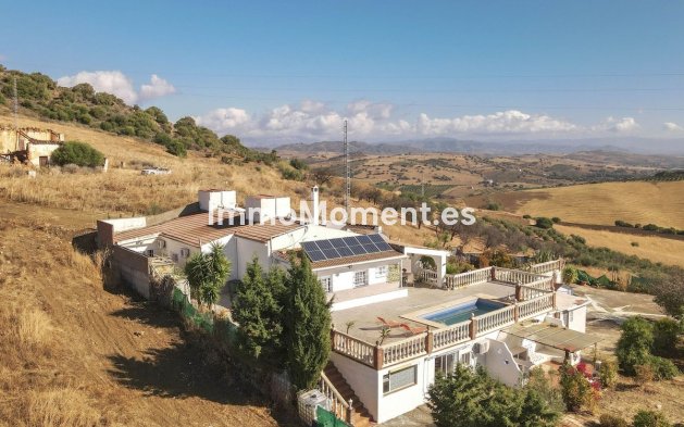 Reventa - Villa - Interior  - Guaro